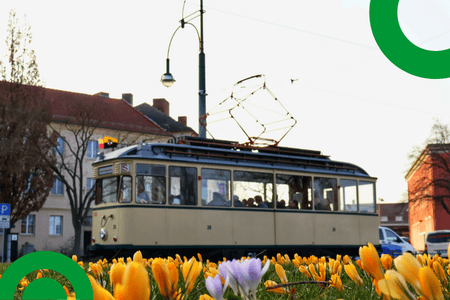 TW 28 im Hintergrund, davor gelbe Krokusse